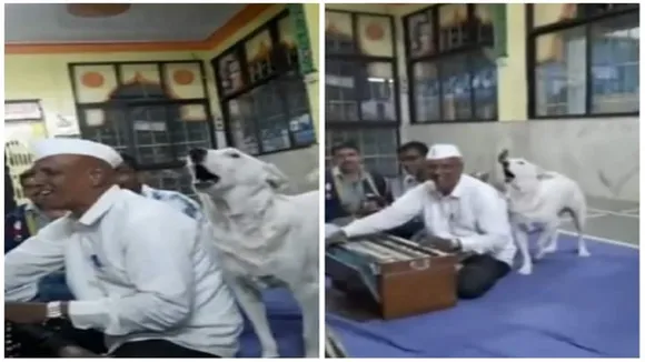 DOG ,Dog,Viral Video,Trending Video,Social Media,