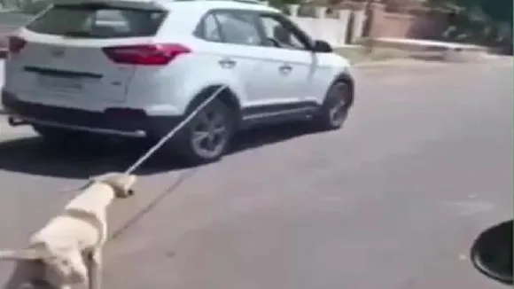Rajasthan news, Rajasthan dog tortured, Rajasthan dog tied to car tortured by doctor, Rajneesh Galwa, Indian Express, Jaipur news"