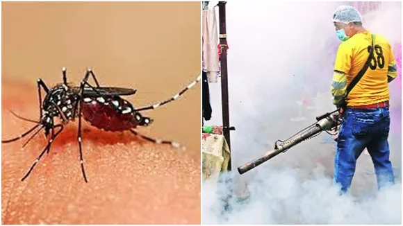 dengue cases,west bengal,west bengal dengue