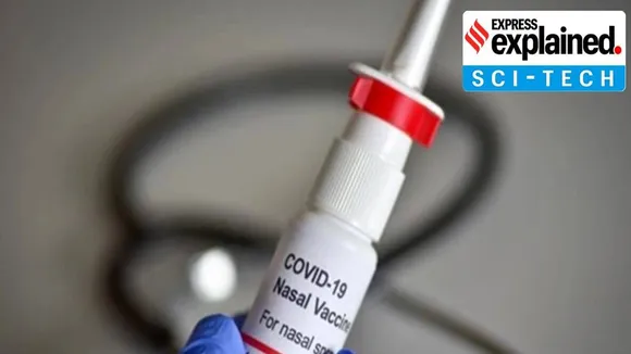 nasal vaccine