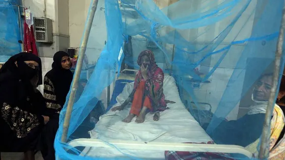 pakistan, pakistan floods, todays news, world news, pakistan flooding, malaria, dengue