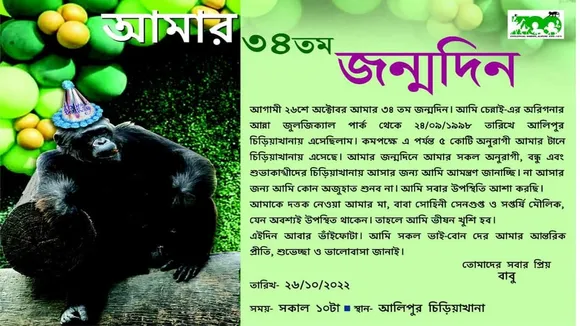 সোহিনী সেনগুপ্ত, বাবু শিম্পাঞ্জি, আলিপুর জু, আলিপুর চিড়িয়াখানা, sohini sengupta, babu chimpanzee, alipore zoo ticket price, alipore zoo babu chimpanzee, alipore zoo animals, alipore zoo