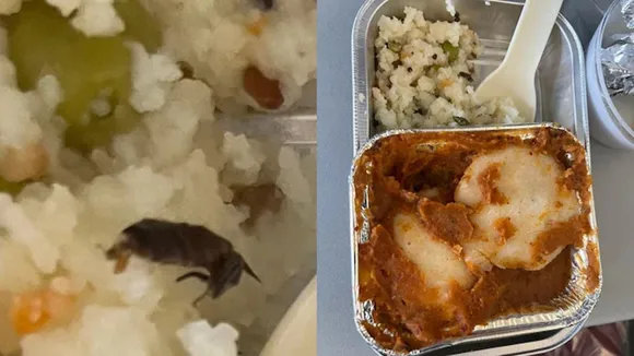 vistara, flight, cockroach, food, disgusting,