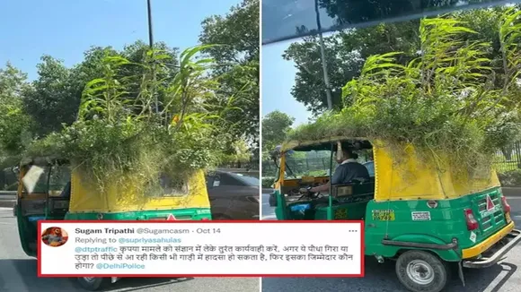viral news in hindi, viral adda news, news in hindi, nbt news, motivation inovation, mini garden in auto roof, mini ac effect, india gate viral news, ias viral tweet, hindi news live, hindi news, delhi auto riskshwa viral news, cool auto, climate action, amazing indians