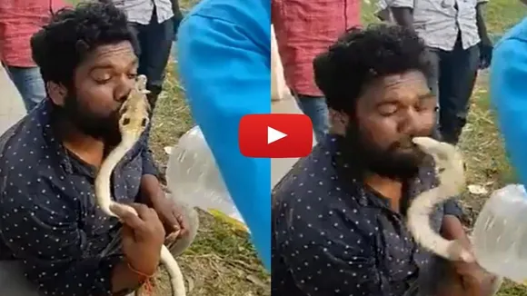 Sanp Ka Video,Snake Ka Video,King Cobra Ka Video,Wild Animal Video,Trending Video Today,OMG Video,Google Trends,Viral Video,Viral Video Today