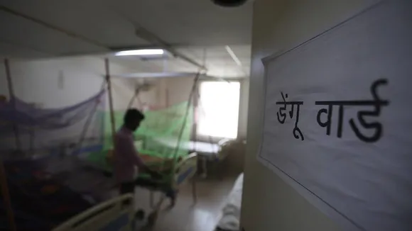 dengue death cases, UP dengue deaths, Prayagraj death rate dengue, dengue news, dengue updates, dengue news, dengue news updates, indian express