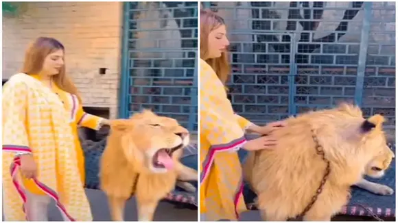 trending Video, viral video, animal video, Shocking video, lady with lion video, human with lion video, sher ka video, trending lion video, google trend, photoshoot with lion video