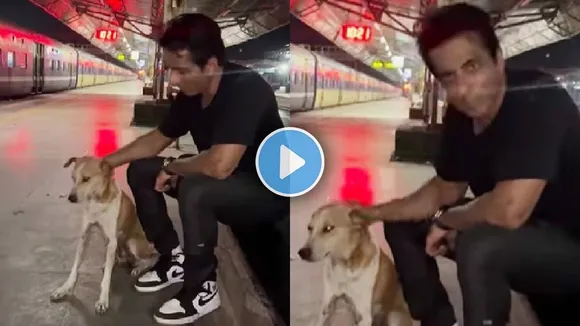 Sonu sood viral video, sonu sood latest video, sonu sood latest instagram post, sonu sood with street dog, sonu soods love towards street dogs, viral video on instagram, Trending news today, trending news alexa, trending news, trending today, trending topics, trending videos, trending news today, latest trends, top trends, trending now, trending topics today, top trending news, latest trending news, world trending news, what's trending today, trending news worldwide, trending stories, trending now news, current trending news, trending celebrity news, most trending news, most trending videos, trending funny videos, viral trending video, viral videos, funny viral videos, today's trending videos, social media viral video, social viral trends, today's trends in India, trending videos in India, trending videos in Maharashtra,