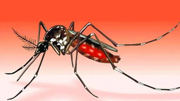 dengue cases in west bengal,west bengal dengue,dengue in west bengal,west bengal,anirban dolui,malda,mamata banerjee,ns nigam, dengue death, ডেঙ্গু, ডেঙ্গু ২০২২, কলকাতা ডেঙ্গু, ডেঙ্গু মৃত্যু, আতঙ্কের ডেঙ্গু, ডেঙ্গু অ্যাকটিভ কেস, ডেঙ্গু জ্বর