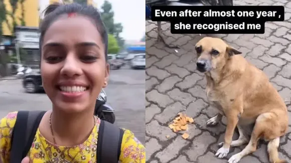 street dog, mumbai, instagram, andheri, viral video