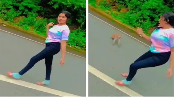 Viral Video of Monkey, Trending Video of Monkey, Amazing Video of Monkey, Shocking Video of Monkey, trending Video of Monkey on twitter, trending Video of Monkey on facebook, trending Video of Monkey on instagram, trending Video of Monkey on youtube,