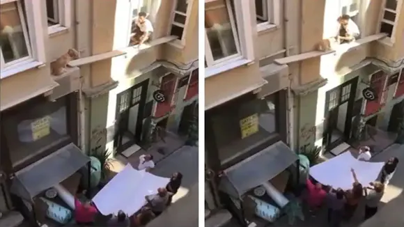 Viral Video of Dog, Trending Video of Dog, Amazing Video of Dog, Shocking Video of Dog, trending Video of Dog on twitter, trending Video of Dog on facebook, trending Video of Dog on instagram, trending Video of Dog on youtube, Man Saves Dog life, Amazing Video, Dog, Social Media, Viral Video