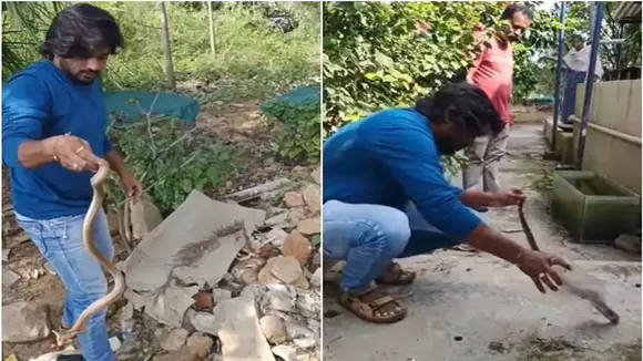 Viral Video of Snake Rescue, Trending Video of Snake Rescue, Amazing Video of Snake Rescue, Shocking Video of Snake Rescue, trending Video of Snake Rescue on twitter, trending Video of Snake Rescue on facebook, trending Video of Snake Rescue on instagram, trending Video of Snake Rescue on youtube,