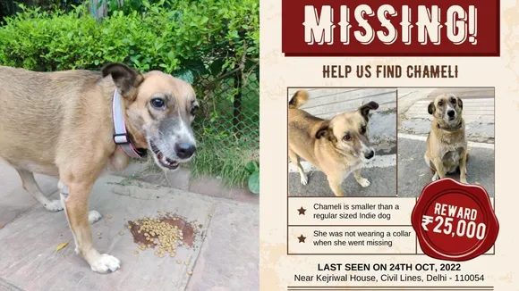 "Missing dog in Delhi,civil lines,kejriwal house,flagstaff road,new delhi missing dog,13-year-old dog missing since Diwali,dog missing for a month,dog missing in delhi,New Delhi,pet dog missing video
