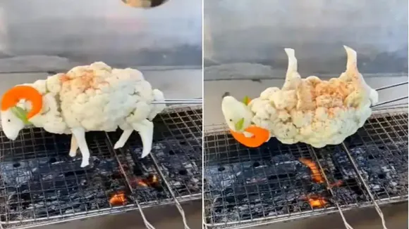 Viral Video of sheep, Trending Video of sheep, Amazing Video of sheep, Shocking Video of sheep, trending Video of sheep on twitter, trending Video of sheep on facebook, trending Video of sheep on instagram, trending Video of sheep on youtube, Viral Video of Vegan lamb, Trending Video of Vegan lamb, Amazing Video of Vegan lamb, Shocking Video of Vegan lamb, trending Video of Vegan lamb on twitter, trending Video of Vegan lamb on facebook, trending Video of Vegan lamb on instagram, trending Video of Vegan lamb on youtube, Capsicum,cauliflower,viral video,sheep