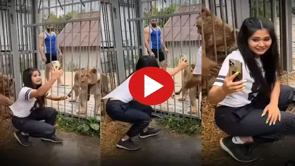Sherni Aur Bhalu Ka Video,Sherni Aur Ladki Ka Video,Lioness And Bear Video,Animal Video,Google Trends,Girl Ka Video,Omg Video,Viral Video,Zoo Ka Video