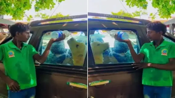 Viral Video of Dog, Trending Video of Dog, Amazing Video of Dog, Shocking Video of Dog, trending Video of Dog on twitter, trending Video of Dog on facebook, trending Video of Dog on instagram, trending Video of Dog on youtube,