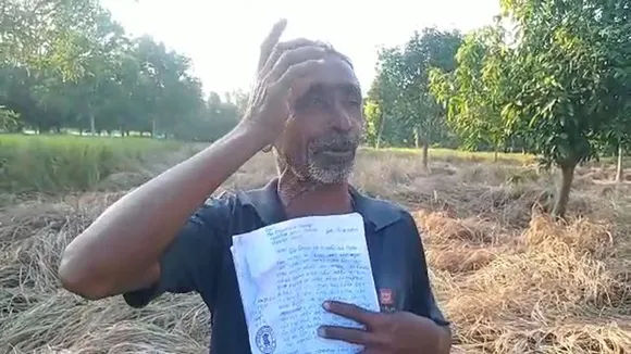 malda manikchak enayetpur rice plants are poisoned