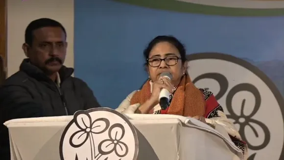 mamata banerjees message to-party leaders and workers on corruption, 'একটা ধানে পোকা হলে সমূলে বিনাশ করতে হয়', ইঙ্গিতপূর্ণ মন্তব্য় মমতার