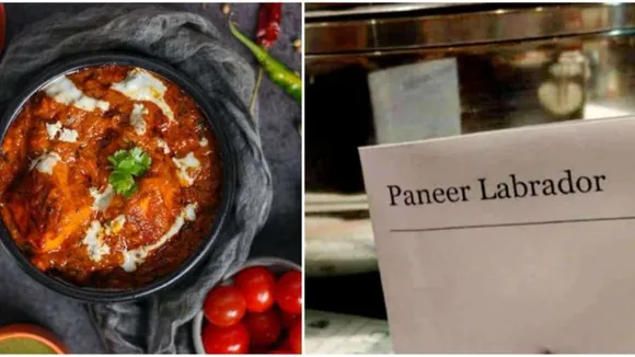 Paneer Labrador, Paneer lababdar, Restaurant, viral news, funny, Paneer Lababdar photo, trending news, Restaurant menu, typo error in restaurant menu, News Hindi News">