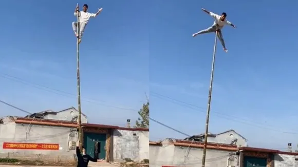 Stunt, Stunt video, Stunt viral video, scary video, boy stunt on bamboo, china boy stunt, viral video, viral news in hindi, ajab gajab, weird news in hindi, weird news, latest hindi news, stunt on bamboo, bamboo