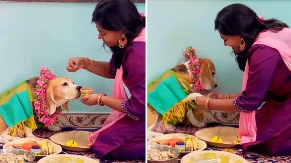 Celebrating Pet's Baby Shower,Woman Throwing A Baby Shower,Bangla Viral News,Bengali Viral News,Viral Videos in Bangla,Bangla Viral,Viral Videos in Bengali,Bengali Viral,Viral News,Viral Bangla,baby shower,Pet Dog,viral video