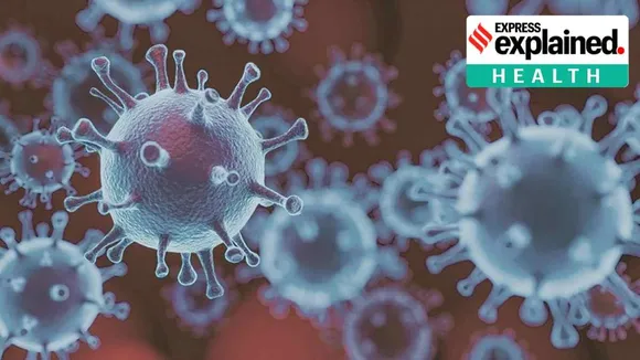 covid china news, corona virus new variant in china, BF.7omicron variant, omicron covid variant, china covid new variant, covid cases in china, covid cases in India, Indian Express