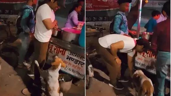 Viral Video of Hungry Dog, Trending Video of Hungry Dog, Amazing Video of Hungry Dog, Shocking Video of Hungry Dog, trending Video of Hungry Dog on twitter, trending Video of Hungry Dog on facebook, trending Video of Hungry Dog on instagram, trending Video of Hungry Dog on youtube