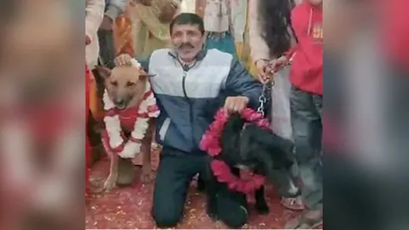 Aligarh Dog Marriage,Dog Marriage,UP Aligarh news,Tommy Jaily wedding,DOG,Dog Marriage Viral Video,टॉमी जैली की शादी,Aligarh Unique Wedding,Tommy Jelly Wedding video,Wedding,Wedding Video,Dog Wedding Video,Wedding Dress,shadi,marriage