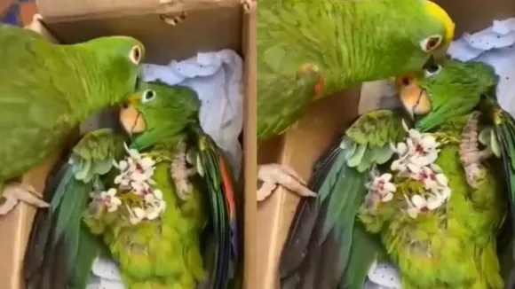 AJAB GAJAB NEWS, KHABRE JARA HATKE, VIRAL NEWS, OMG, WEIRD NEWS