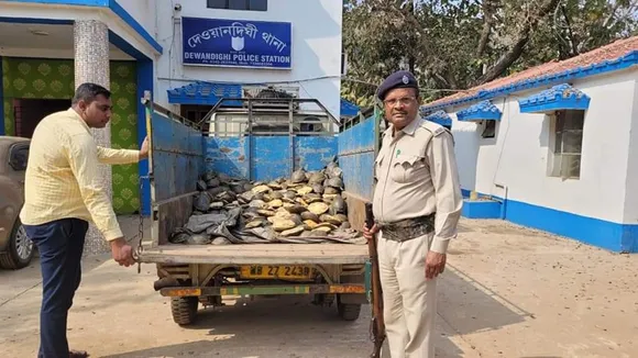 tortoise recovery from burdwan