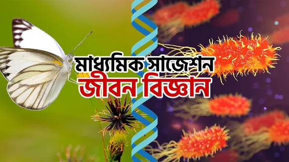 Madhyamik exam last minute preparation life science suggestion