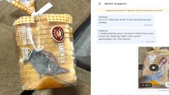 blinkit,live rat with bread order,rat found in bread,blinkit user finds rat inside bread packet,Blinkit news,rat trapped inside bread packet,Rat,blinkit customer service,blinkit new,blinkit order,Blinkit App,twitter post viral,blinket bread,blinkit bread rat,rat in bread,rat in bread packet,viral video,viral news,video,viral,live rodent inside bread packet,rat in blinit delivery"