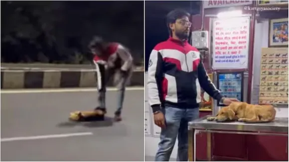 dog,dog video,instagram,man saves dog"
