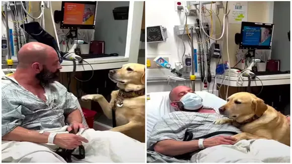 trending Video, viral video, Viral dog video, trending dog video, pet dog friendship, human and dog friendship, cute video, emotional video, kutte ka video, pet dog viral video, pet dog taking care of his human