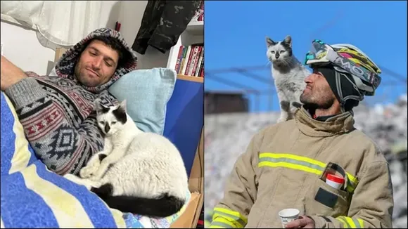 cat, turkey, earthquake, internet, adopted, happy