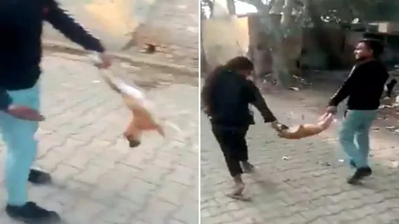 viral video on twitter, viral news, trending viral video, shocking viral video, puppy viral video, inhuman things, ias viral tweet, ias ka tweet