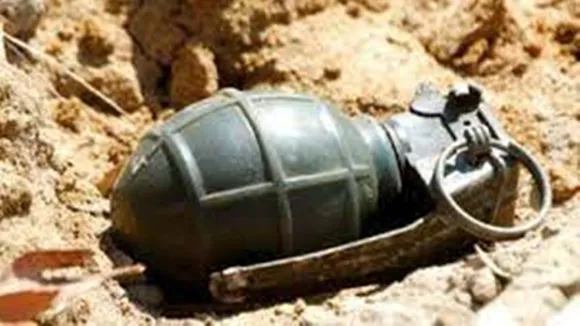 hand grenade recover from cooch bear court