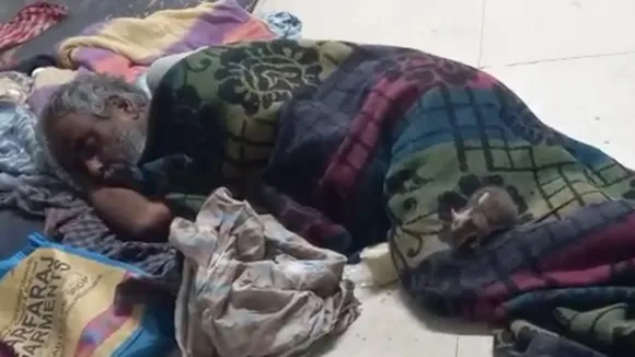 malda medical college rats nuisance , রোগীর গায়ে মাথায় দিব্যি ঘরছে ইঁদুর মালদা মেডিক্যালের ভাইরাল ভিডিও ঘিরে হইহই কাণ্ড