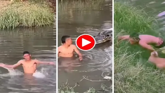 Magarmach Ka Video,Nakli Magarmach Se Prank,Prank Ka Video,Hansi Ka Video,Google Trends,Fake Crocodile Video,Funny Video,Comedy Video,Fun Ka Video,Masti Ka Video