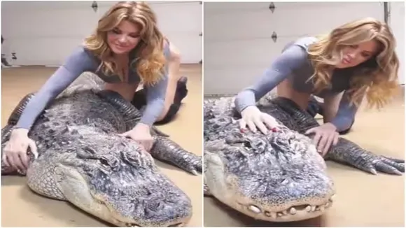 "Viral Video of Crocodile, Trending Video of Crocodile, Amazing Video of Crocodile, Shocking Video of Crocodile, latest tending Video of Crocodile, trending Video of Crocodile on twitter, trending Video of Crocodile on facebook, trending Video of Crocodile on instagram, trending Video of Crocodile on youtube,