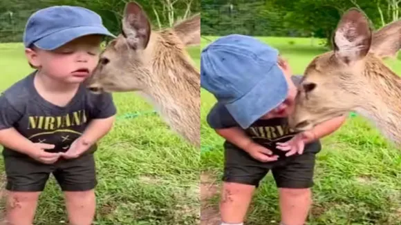 trending Video, viral video, animal video, kid and deer video, baby video, viral baby cute video, animal and baby video, animal and kids video, cute viral video, trending kids video, funny video, viral twitter video, boy video, exotic baby video, kid kissing deer video
