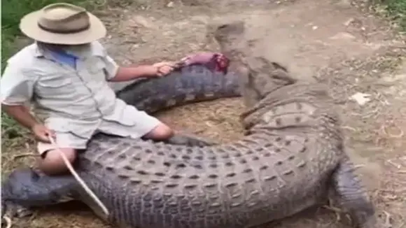 Dangerous Crocodile Attack,Google Trends,Google Trends Today,magarmach ka hamla,Magarmach Ka Insan Par Hamla,Magarmach Ka Video,Trending Video,Wild Animal Attack,Man Playing With Crocodile, crocodile, crocodile video, crocodile viral video, animals videos, animals viral videos,Ajab Gajab news, Shocking news, Strange news, Weird news, OMG News, Viral On Social Media,"