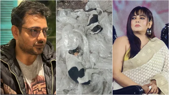 street dogs, tathagata mukherjee, shreelekha mitra, tolly news
