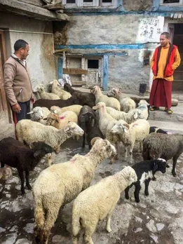 আপনার অনুচ্ছেদ পাঠ্য (9)