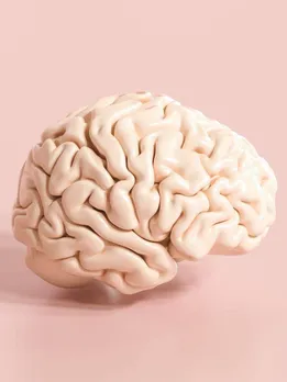 মস্তিষ্ক