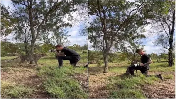 Viral Video of Cheetah, Trending Video of Cheetah, Amazing Video of Cheetah, Shocking Video of Cheetah, latest tending Video of Cheetah, trending Video of Cheetah on twitter, trending Video of Cheetah on facebook, trending Video of Cheetah on instagram, trending Video of Cheetah on youtube,