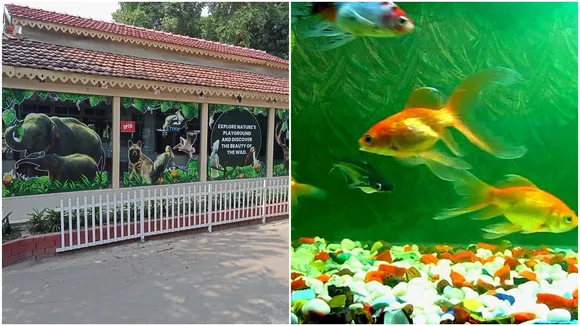আলিপুর চিড়িয়াখানা, চিড়িয়াখানার পশুপাখিরা, Zebra cub,Alipore Zoo,Born,Enclosure,Bangla news,জেব্রা শাবক,আলিপুর চিড়িয়াখানা,জন্ম,এনক্লোজার,বাংলা খবর,summer in Bengali, weather update, rain, covid, heat wave, heat stroke, alipure zoo,west Bengal news, viral, trending, top trending, to Bengali news