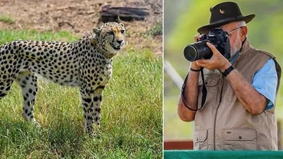 Kuno cheetah death, South African vet expert, case of ‘botulism’, PM Modi, Kuno national park, indian express, indian express news