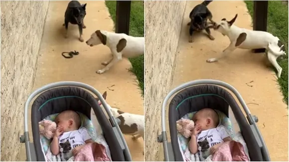 save baby in viral video